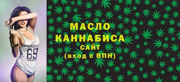 ECSTASY Гусь-Хрустальный